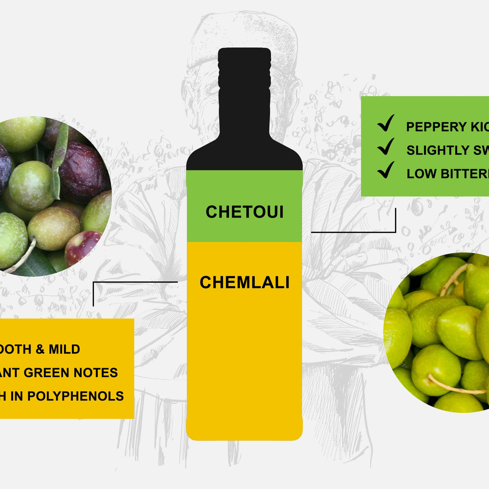Tunisian Olive Oil: Chemlali, Chetoui, and Terra Delyssa’s Signature Blend
