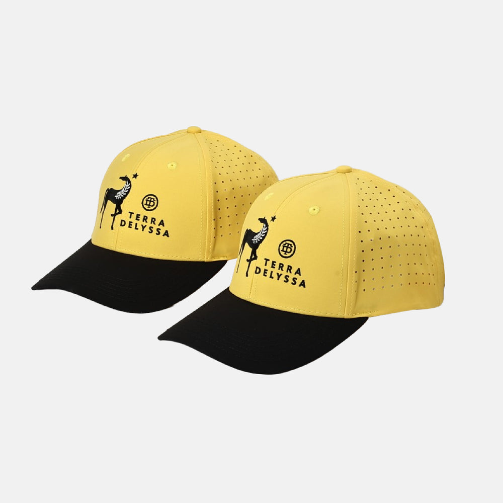 
                  
                    Terra Delyssa Logo Hat
                  
                