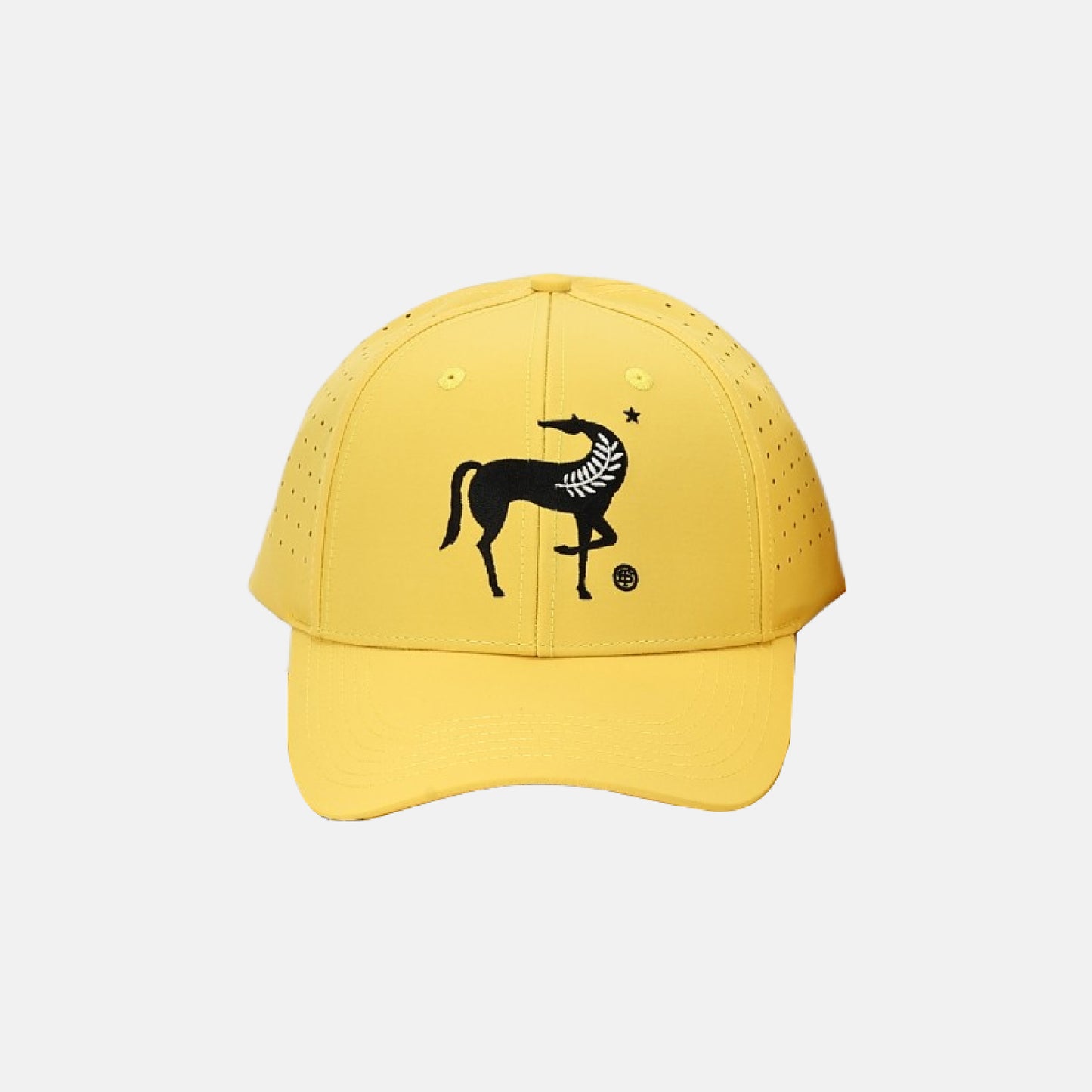 
                  
                    Terra Delyssa Logo Hat
                  
                