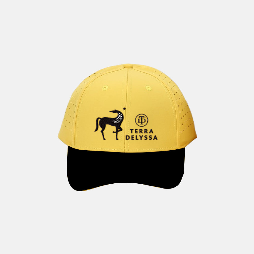 
                  
                    Terra Delyssa Logo Hat
                  
                