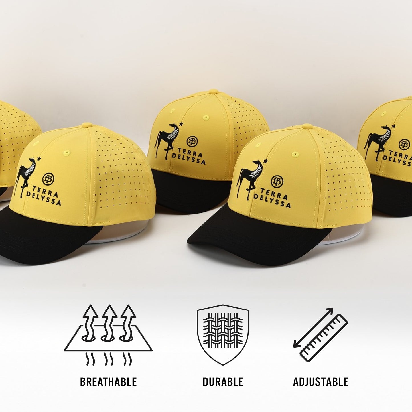 
                  
                    Terra Delyssa Logo Hat
                  
                